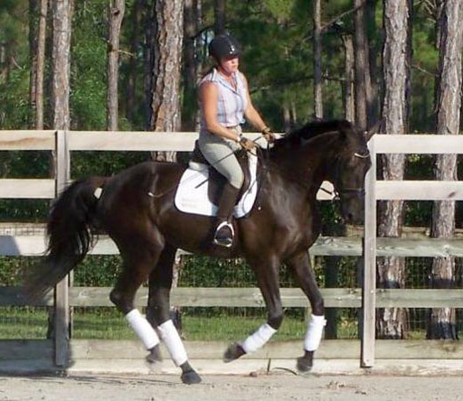 Reggae SPF ridden by Anita