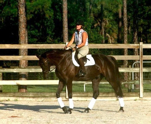 Reggae SPF ridden by Anita