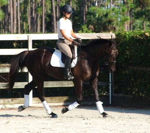 Reggae SPF ridden by Carmen Franco