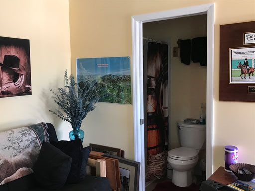 Living Room/bathroom