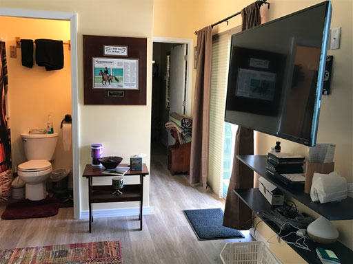 Living room, bathroom, hallway